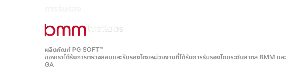 การรองรับจากองค์กรต่างประเทศ